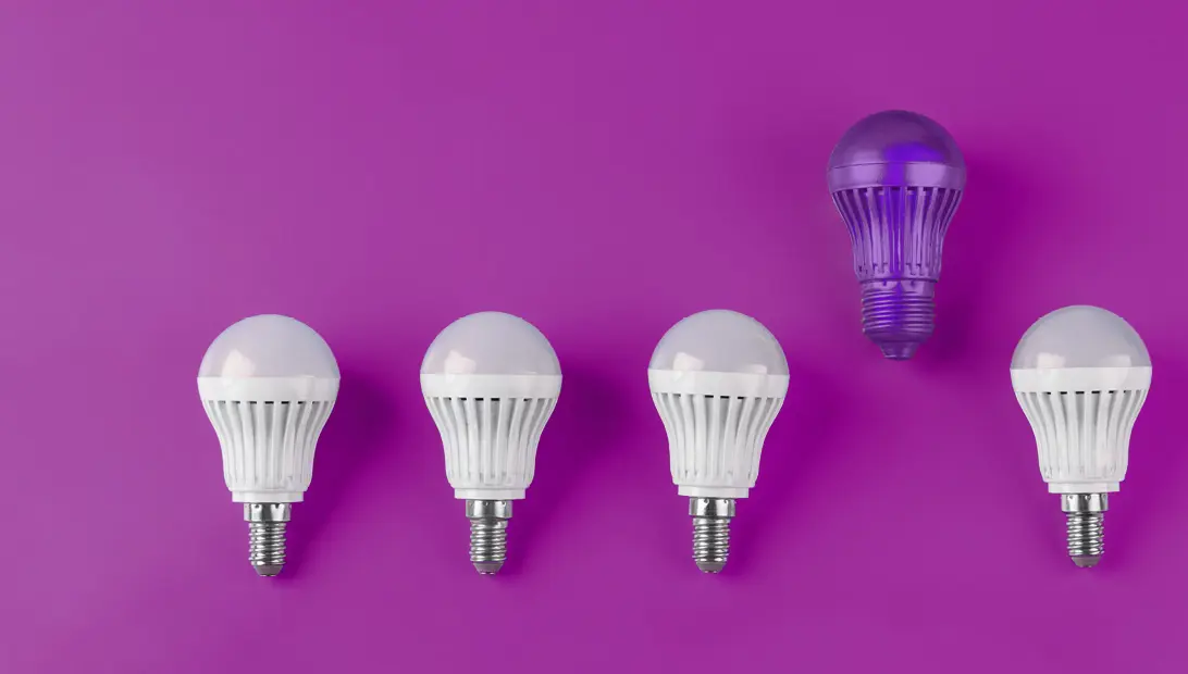 Sustainable Appetiser Pct 1