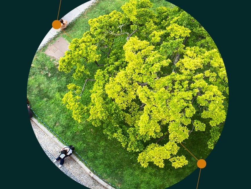 Spring Statement 2026