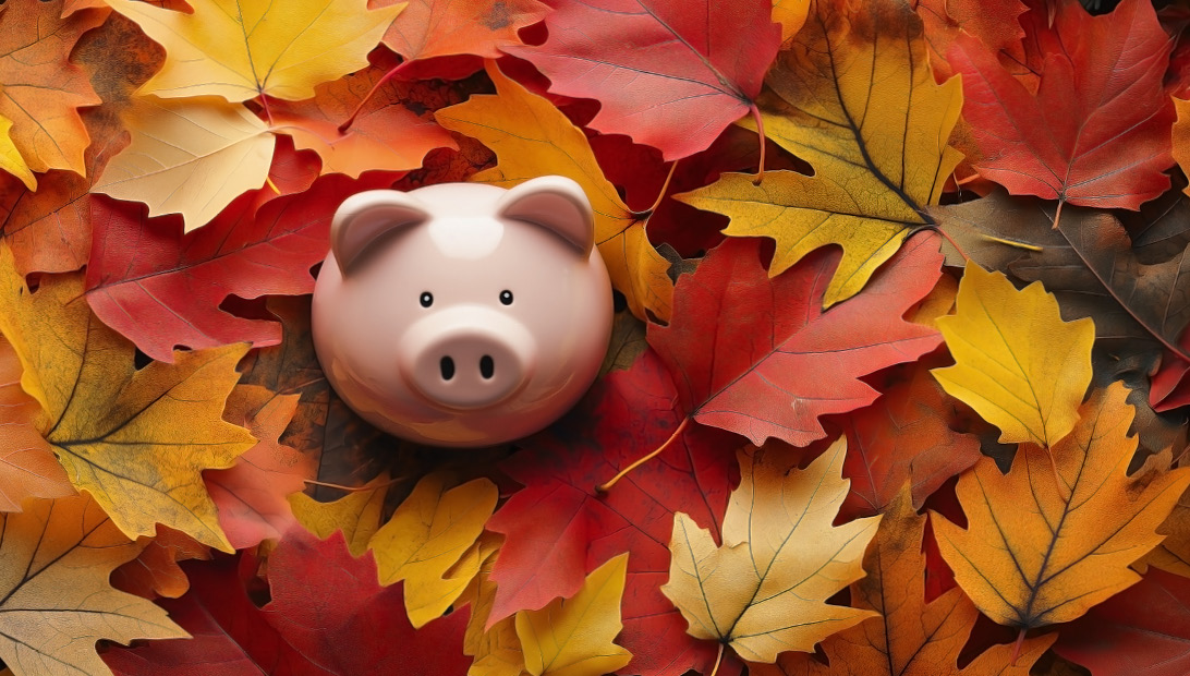 Autumn Budget Article