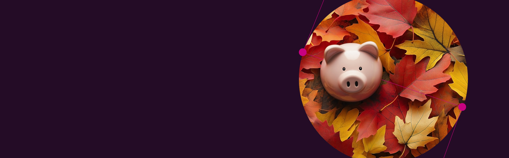 Autumn Budget Article